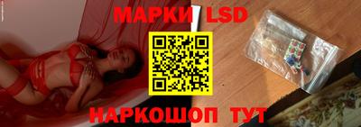 спайс Берёзовский