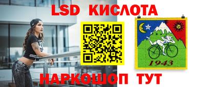 гашик Бийск