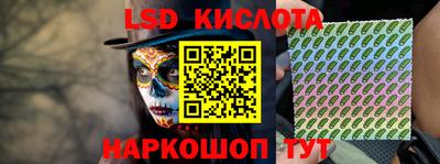 спайс Берёзовский