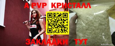 гашик Бийск