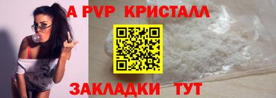 спайс Берёзовский
