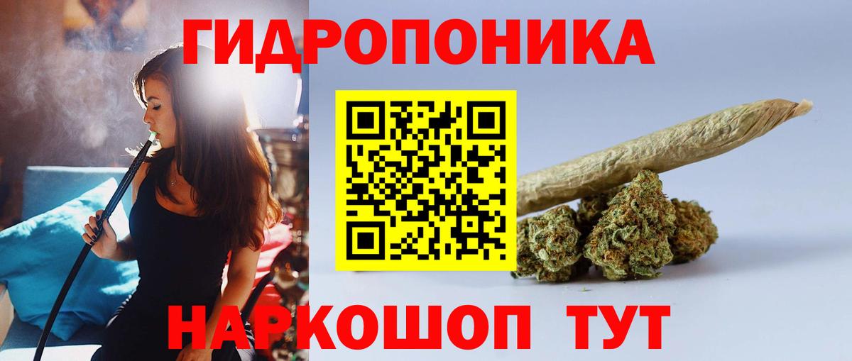 Бошки Шишки Bruce Banner  Вход с VPN  Озёрск  Бошки марихуана гибрид  Каннабис VHQ 